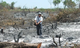 Sáu tháng, xóa sổ 90 ha rừng tự nhiên