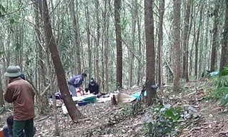 Vụ phát hiện thi thể bị nhiều vết đâm trong rừng keo: Triệu tập nghi phạm