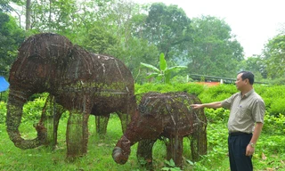 15.000 bẫy thú rừng tạo thành cặp tượng voi mẹ con