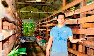 Bỏ trường y, chàng trai về quê khởi nghiệp nuôi hươu sao