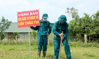 Một huyện của Nghệ An tiêu hủy gần 150 tấn lợn bị dịch tả Châu Phi