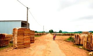 Dự án tái định cư vùng ngập lụt thành nơi tập kết ván gỗ ép