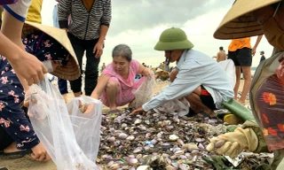 Sóng đưa 'lộc' vào bờ, người dân đổ xô đi nhặt kiếm bạc triệu chỉ trong vài giờ