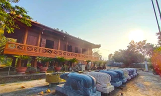 Độc đáo lễ hội ở ngôi đền có 9 con trâu quỳ 