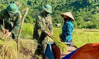 Bộ đội biên phòng xuống ruộng gặt lúa giúp người neo đơn