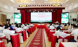 Nghệ An vươn lên vị trí thứ 8/63 địa phương về thu hút đầu tư trực tiếp nước ngoài