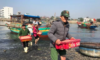 Thuyền ra khơi trúng đậm, đội bốc vác thuê tất bật những ngày đầu năm