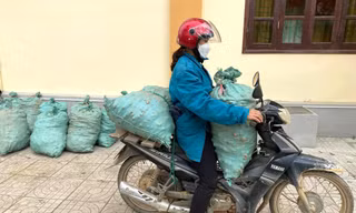 Loại củ giúp người Mông xoá nghèo mất giá, bán chẳng ai mua