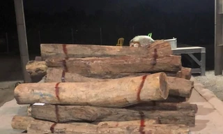 Dùng chứng từ giả để buôn lậu gỗ quý