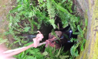 Người đàn ông bị rơi xuống giếng hoang suốt một đêm