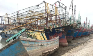 Ra khơi là lỗ, nhiều ngư dân mang tàu cá bán đồng nát