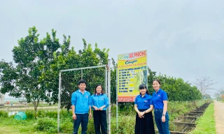 Bí thư Chi đoàn khởi nghiệp trồng trọt chăn nuôi, thu hàng trăm triệu đồng mỗi năm