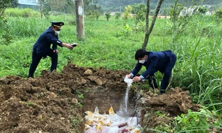 Nghệ An: Vi phạm quy định vệ sinh an toàn thực phẩm bị phạt hơn 3 tỷ đồng