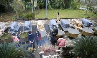 Kỳ bí ngôi đền có 9 con trâu quỳ gối ở miền Tây xứ Nghệ