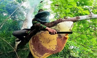 Tìm thấy thi thể người đàn ông vào rừng lấy mật ong sau 3 ngày mất tích