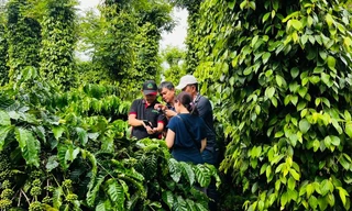 Nestlé Việt Nam thúc đẩy phát triển nông nghiệp xanh, ứng phó biến đổi khí hậu