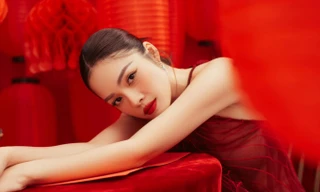 Chưa trả hết nợ, 'mỹ nhân nợ 6 tỷ' Dương Cẩm Lynh đã khoe tin vui nhân dịp đầu năm