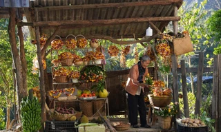 Độ chịu chi của Lý Hải: "Lật Mặt" càng kéo dài, bối cảnh càng hoành tráng