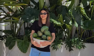 Khoe ảnh hái xoài nhưng Tăng Thanh Hà gây hoang mang vì một câu nói