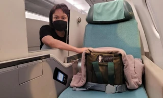 Việt Hương sẽ không làm đám giỗ cho ca sĩ Phi Nhung vì lý do này