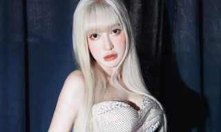 Vì sao đang được chú ý, 'mỹ nhân ngực khủng' Elly Trần lại không tiếp tục tố cáo chồng Tây?