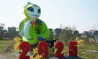 Theo tìm hiểu của PV Tiền Phong, chủ nhân của linh vật rắn là anh Bùi Văn Quân ở xã Hùng Sơn, huyện Hiệp Hòa.