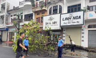 Gió to làm cây đổ ở đường phố thành phố Bắc Giang.