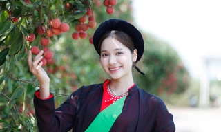 Nhiều bạn trẻ thích thú chụp ảnh với vườn vải thiều chín đỏ ở huyện Lục Ngạn và thị xã Chũ (tỉnh Bắc Giang). Ảnh: Nguyễn Thắng