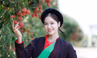 Nhiều bạn trẻ thích thú chụp ảnh với vườn vải thiều chín đỏ ở huyện Lục Ngạn và thị xã Chũ (tỉnh Bắc Giang). Ảnh: Nguyễn Thắng