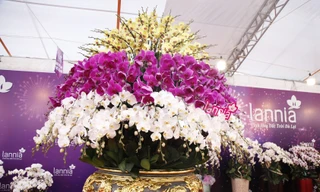 Trong chậu có gần 1000 cành hoa lan Đà Lạt. Ảnh: Nguyễn Thắng.