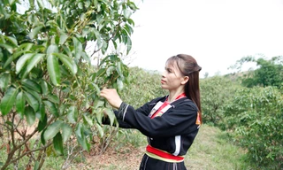 Chị Lục Thị Hương là gương thoát nghèo vươn lên làm giàu tiêu biểu ở huyện Sơn Động. Ảnh: Nguyễn Thắng