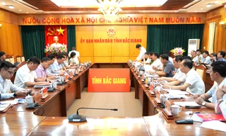 Tổ công tác của Thanh tra Chính phủ làm việc với tỉnh Bắc Giang.