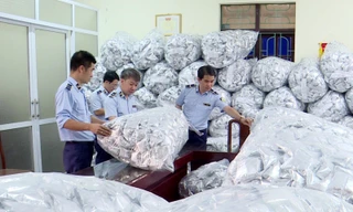 Cơ quan chức năng phát hiện 40.000 gói rong biển không rõ nguồn gốc ở Bắc Ninh.