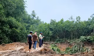 Hà Nội: 'Đất tặc' ngang nhiên phá hoại cây trồng của người dân, xúc trộm hơn 500m3 đất 