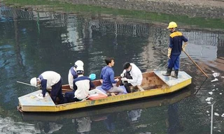  Đại diện Viện Công nghệ môi trường lấy mẫu nước sông tô Lịch để kiểm tra sáng 20/5
