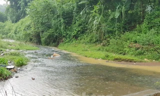 Mặc dù ngày 13/10 trời có mưa, nhưng màu nước sông dẫn vào Nhà máy nước Sông Đà vẫn chuyển sang màu đen. Ảnh: Trần Hoàng