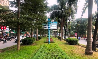 Dải phân cách giữa và cây xanh, thảm cỏ ở dải phân cách giữa đường Hoàng Quốc Việt.