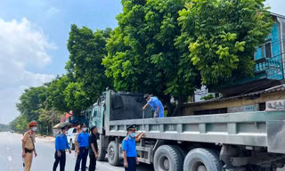 Sẽ tước giấy phép đơn vị có nhiều 'hung thần' xe tải vi phạm