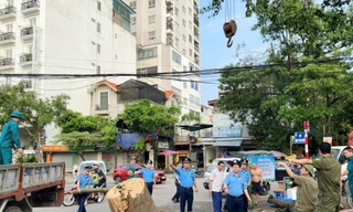 Hơn 300 Thanh tra phân luồng, đảm bảo trật tự chiến dịch thu dọn cây xanh đổ 