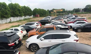 73 chiếc ô tô bị cơ quan chức năng thu giữ. Ảnh Công an cung cấp.