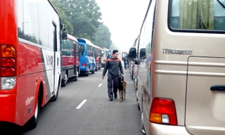 Cảnh khuyển tham gia rà soát xe phục vụ Đại hội XIII