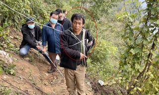 Đối tượng Vử (khoanh tròn đỏ).