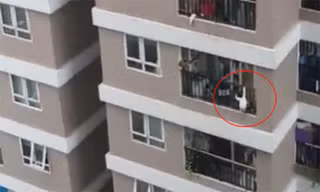 Hình ảnh cắt từ video.
