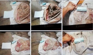 Những bộ hài cốt công an phát hiện tại nhà người dân ở huyện Gò Dầu, tỉnh Tây Ninh.