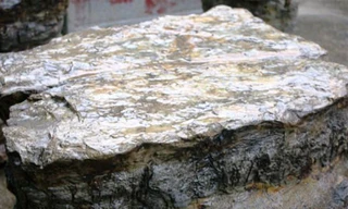 Bộ bàn ghế nghìn năm tuổi