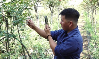 Chàng trai 9x livestream bán hoa trên mạng, kiếm tiền tỉ