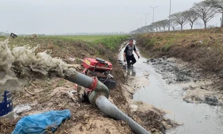 Ruộng đồng nứt toác, nông dân Hải Dương phải bơm nước bẩn cứu khát cho lúa