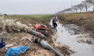 Ruộng đồng nứt toác, nông dân Hải Dương phải bơm nước bẩn cứu khát cho lúa