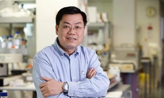 'Chẳng có bảng xếp hạng đại học nào đáng tin cậy'