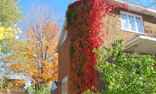 Dừng chân tại thành phố Québec đẹp như cổ tích